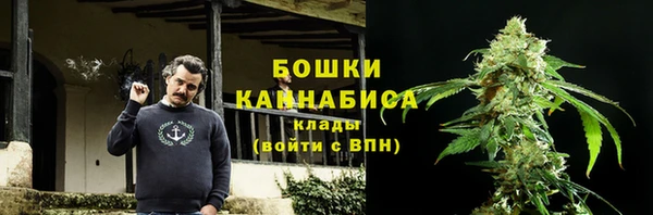 PSILOCYBIN Алзамай