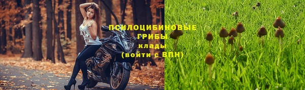 каннабис Алексин