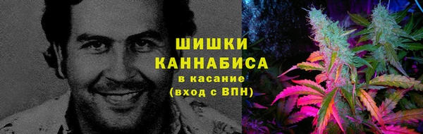 спиды Осташков