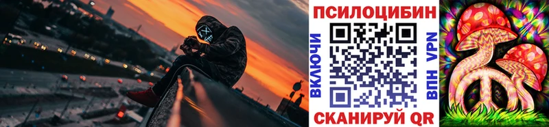 Галлюциногенные грибы Psilocybine cubensis  как найти наркотики  мега ССЫЛКА  Сосновый Бор 